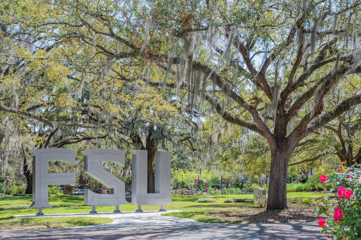 Azaleas on campus