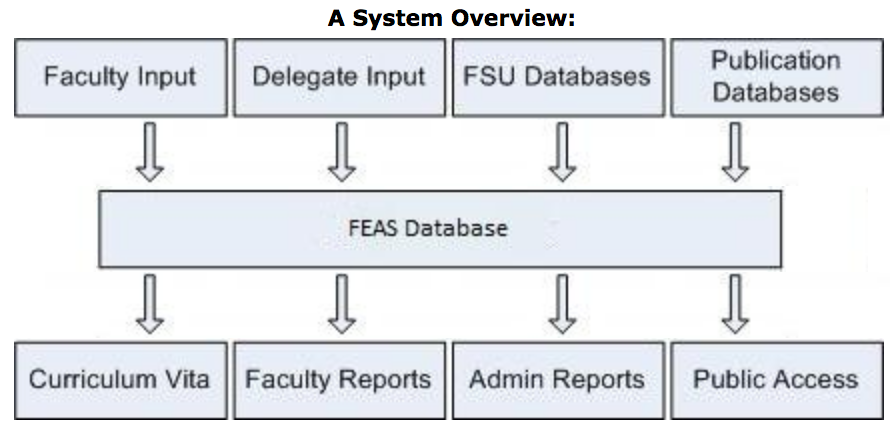 FEAS System Overview diagram