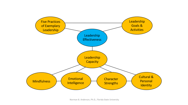 FSU LDP Framework revision.png