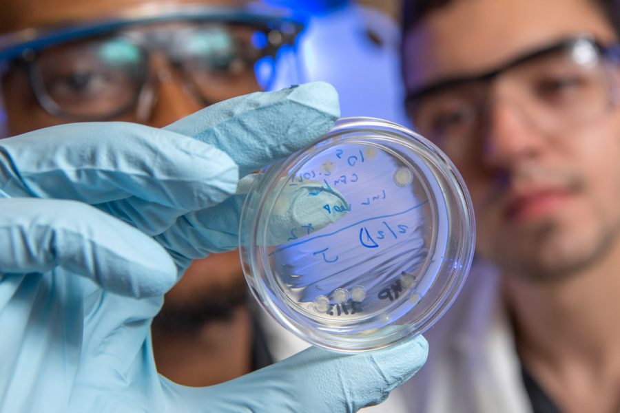 photo of scientists in lab