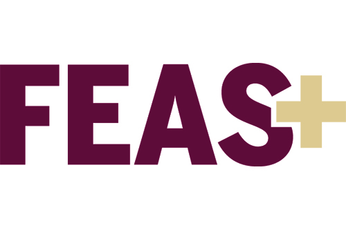 FEAS+ logo
