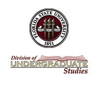 Undergraduate Studies